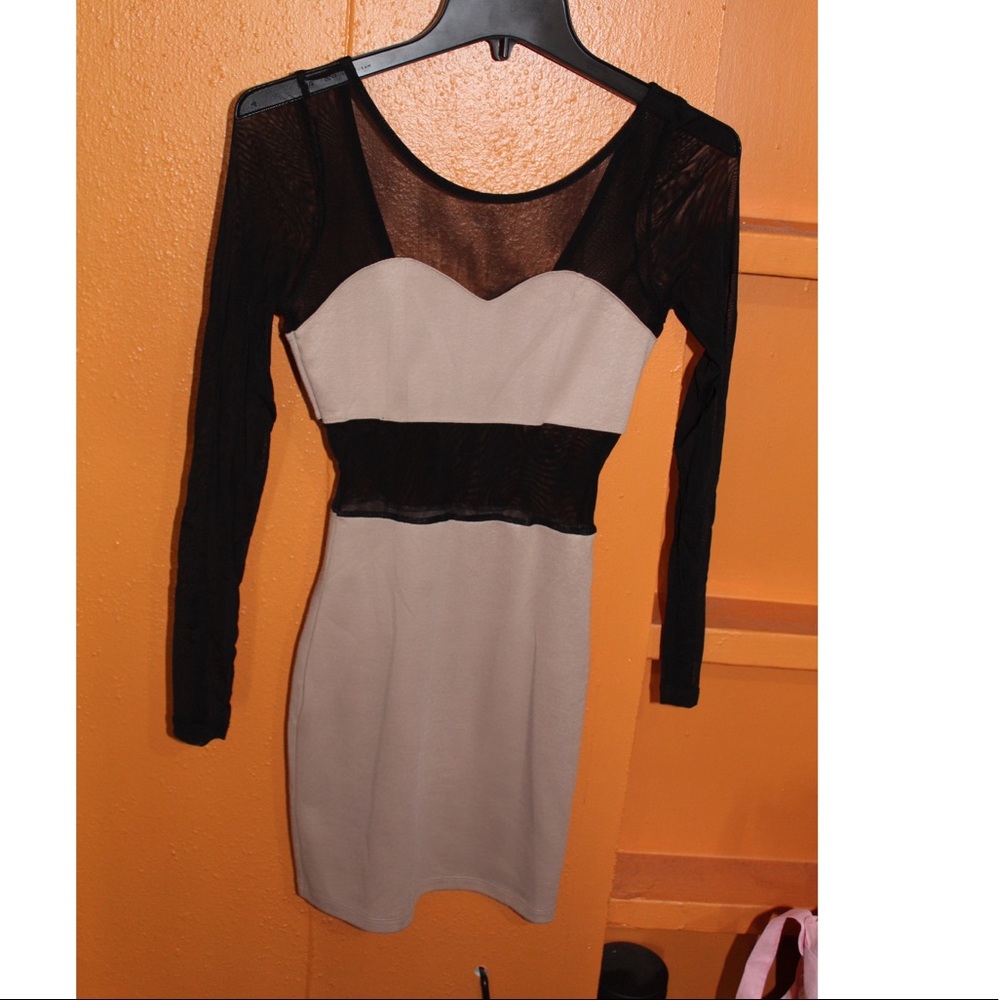 Long sleeve Sheer Mesh Dress